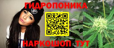 таблы Лесосибирск