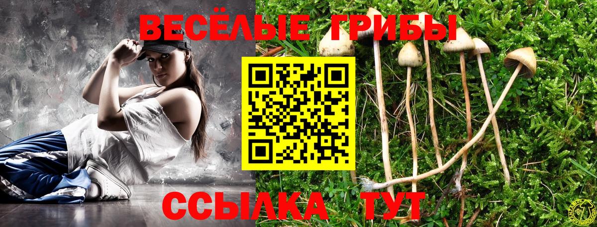 Псилоцибиновые грибы мицелий Улан-Удэ