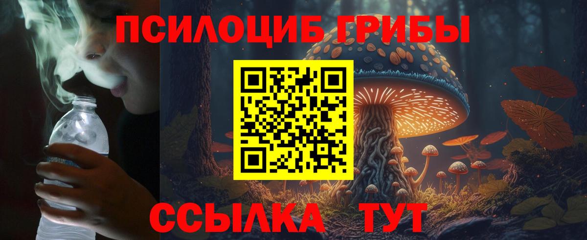 как найти   Галлюциногенные грибы прущие грибы  Улан-Удэ  Вход с VPN  Псилоцибиновые грибы GOLDEN TEACHER 
